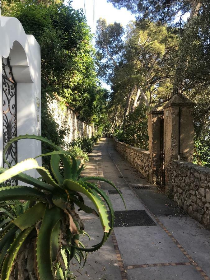 קאפרי Villa Guya מראה חיצוני תמונה